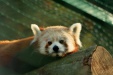 Thumbnail img_6651.jpg 