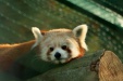 Thumbnail img_6652.jpg 
