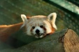 Thumbnail img_6653.jpg 