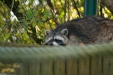 Thumbnail img_6656.jpg 
