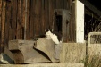 Thumbnail img_6676.jpg 