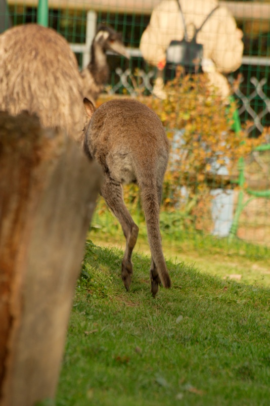 img_6539.jpg 