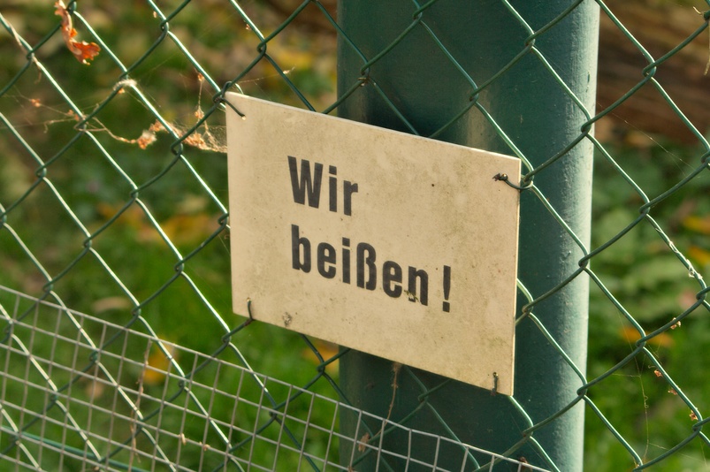 img_6555.jpg 
