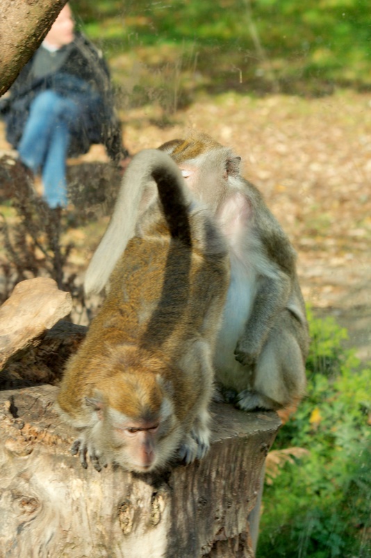 img_6567.jpg 
