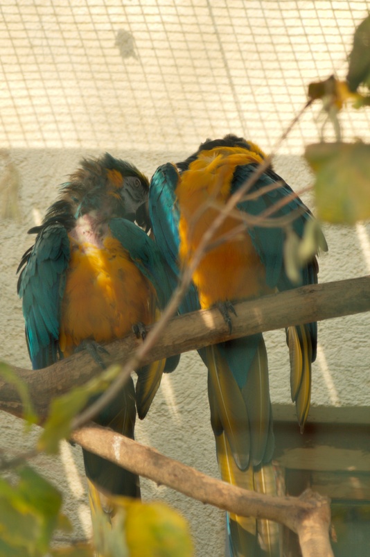 img_6576.jpg 