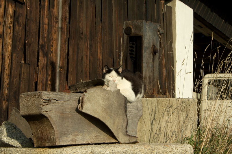 img_6676.jpg 