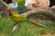 Thumbnail img_1553.jpg 