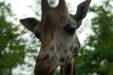 Thumbnail img_1560.jpg 