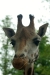 Thumbnail img_1564.jpg 