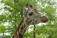 Thumbnail img_1567.jpg 