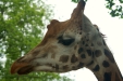 Thumbnail img_1576.jpg 