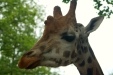 Thumbnail img_1577.jpg 
