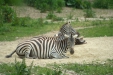 Thumbnail img_1579.jpg 