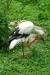Thumbnail img_1585.jpg 