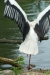 Thumbnail img_1586.jpg 