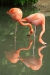 Thumbnail img_1591.jpg 
