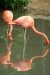 Thumbnail img_1592.jpg 