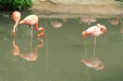 Thumbnail img_1594.jpg 