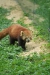Thumbnail img_1597.jpg 