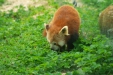 Thumbnail img_1602.jpg 