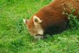 Thumbnail img_1608.jpg 