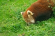 Thumbnail img_1610.jpg 