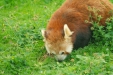 Thumbnail img_1611.jpg 