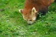 Thumbnail img_1614.jpg 