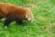 Thumbnail img_1615.jpg 