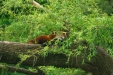 Thumbnail img_1620.jpg 