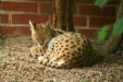 Thumbnail img_1622.jpg 