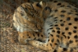 Thumbnail img_1626.jpg 
