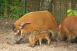 Thumbnail img_1632.jpg 