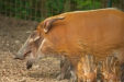 Thumbnail img_1636.jpg 