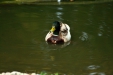 Thumbnail img_1638.jpg 