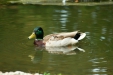Thumbnail img_1639.jpg 