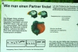 Thumbnail img_1643.jpg 
