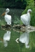 Thumbnail img_1649.jpg 