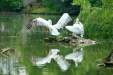 Thumbnail img_1652.jpg 