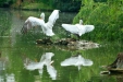 Thumbnail img_1653.jpg 