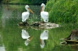 Thumbnail img_1654.jpg 
