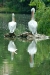 Thumbnail img_1655.jpg 