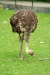 Thumbnail img_1660.jpg 