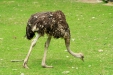 Thumbnail img_1662.jpg 