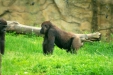 Thumbnail img_1664.jpg 