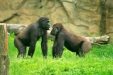 Thumbnail img_1665.jpg 