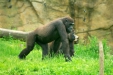 Thumbnail img_1668.jpg 