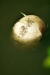 Thumbnail img_1671.jpg 