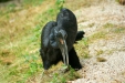 Thumbnail img_1689.jpg 