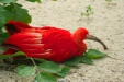 Thumbnail img_1708.jpg 